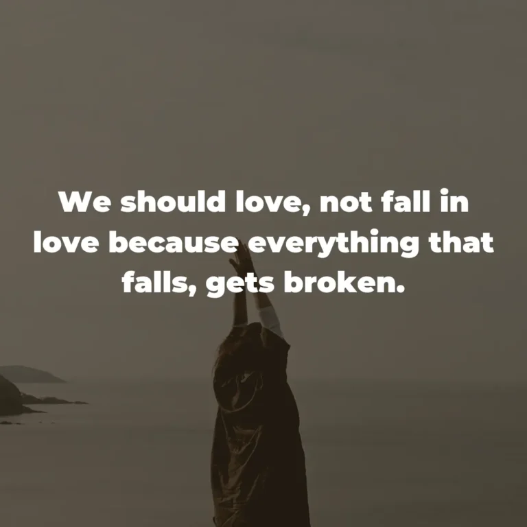 We should love, not fall in love because everything that falls, gets broken.