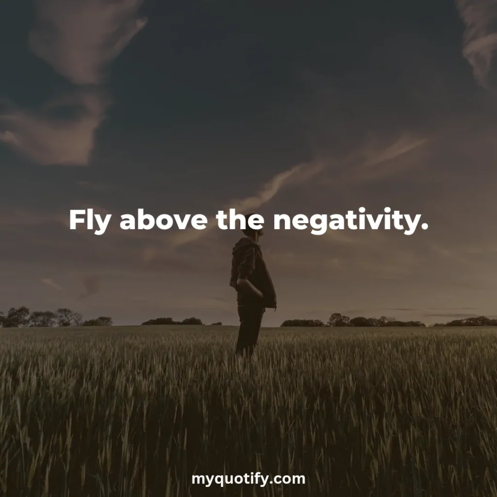 Fly above the negativity.