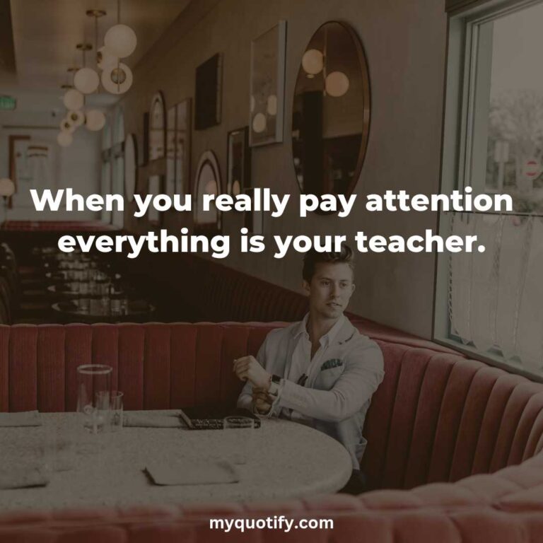 When you really pay attention everything is your teacher.