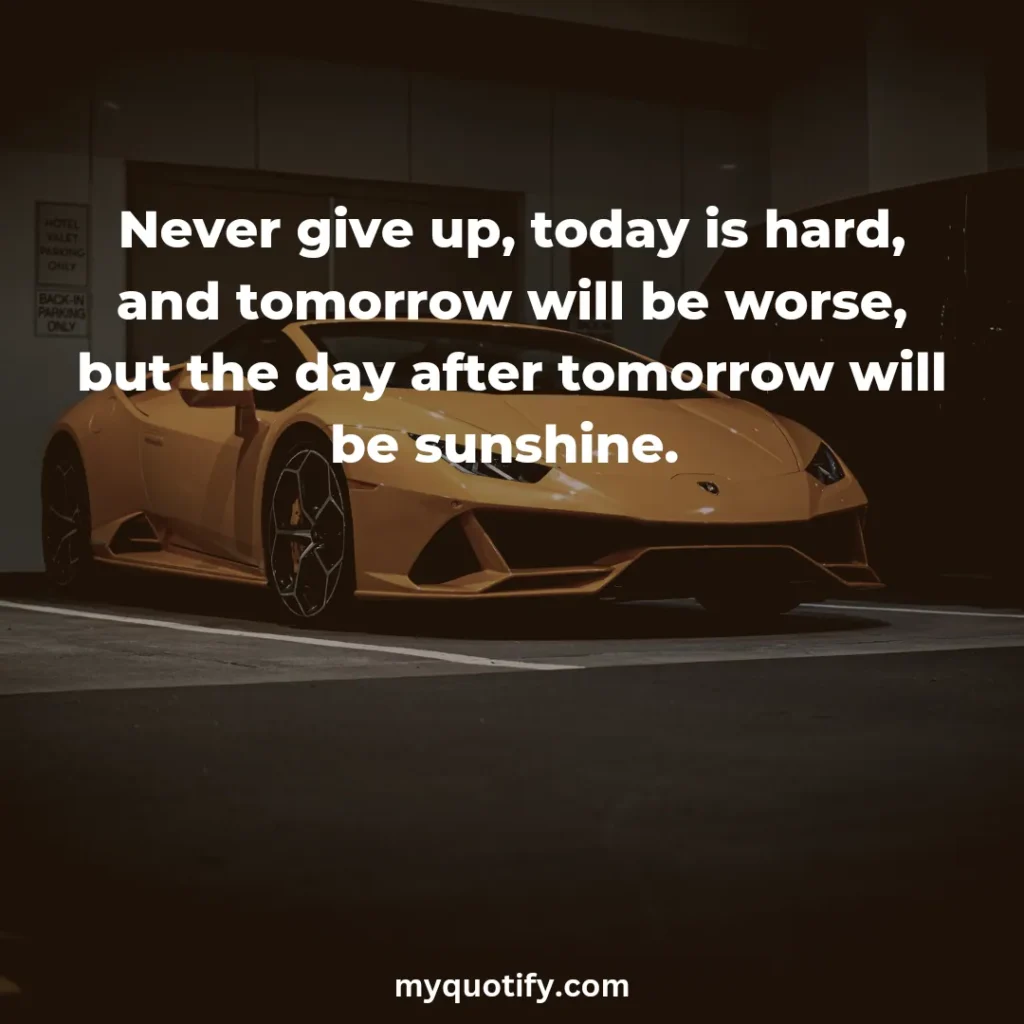 Never give up, today is hard, and tomorrow will be worse, but the day after tomorrow will be sunshine. 