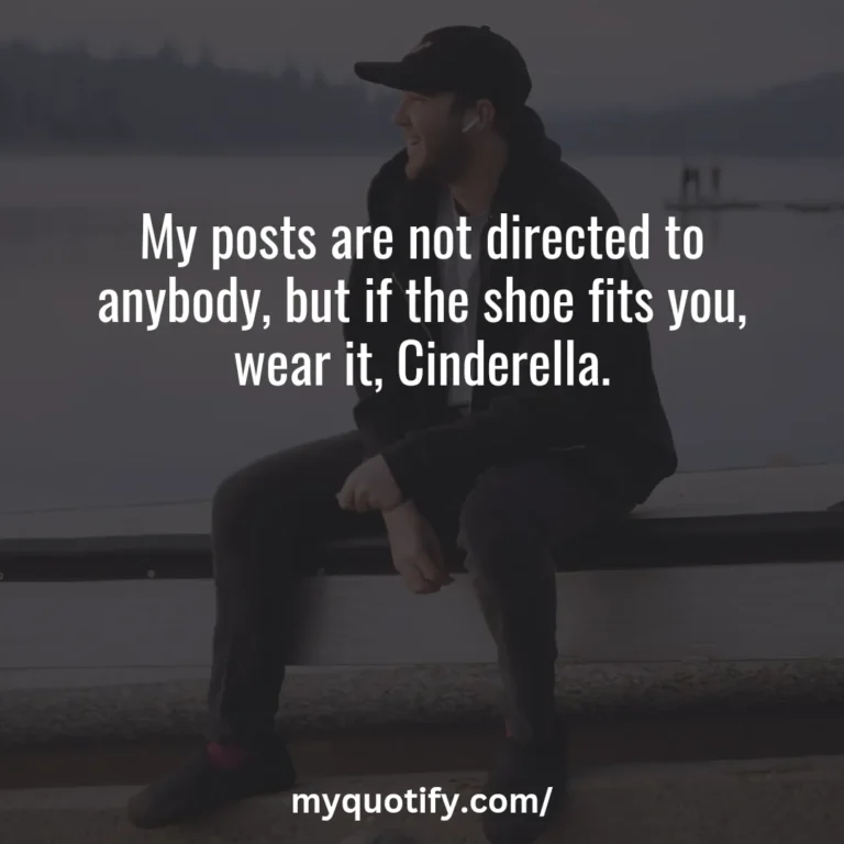 My posts are not directed to anybody, but if the shoe fits you, wear it, Cinderella.