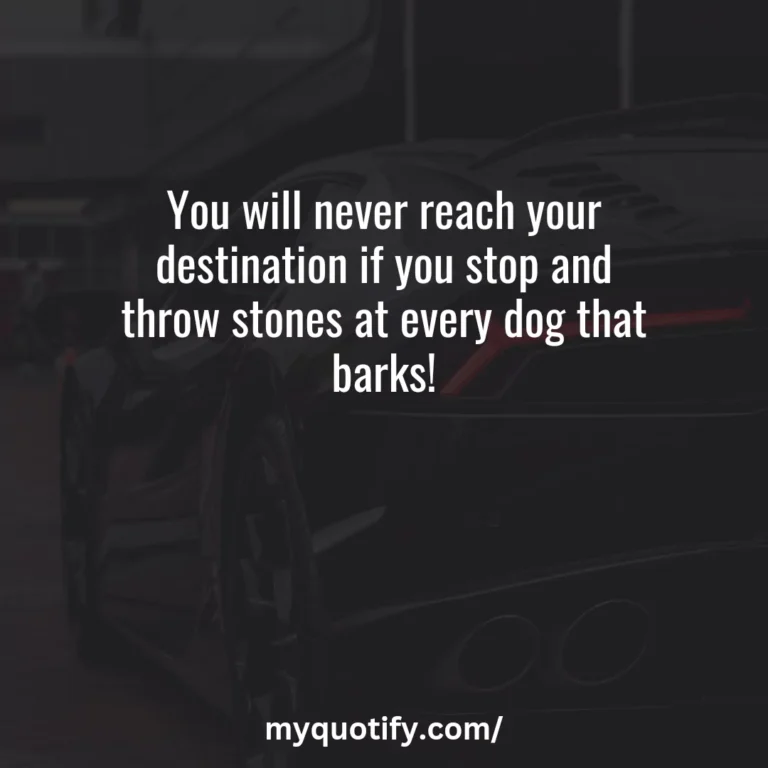 You will never reach your destination if you stop and throw stones at every dog that barks!