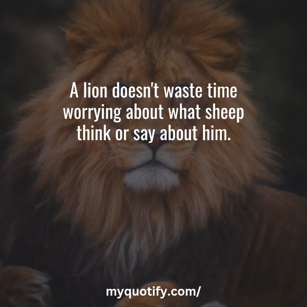 A lion doesn't waste time worrying about what sheep think or say about him.